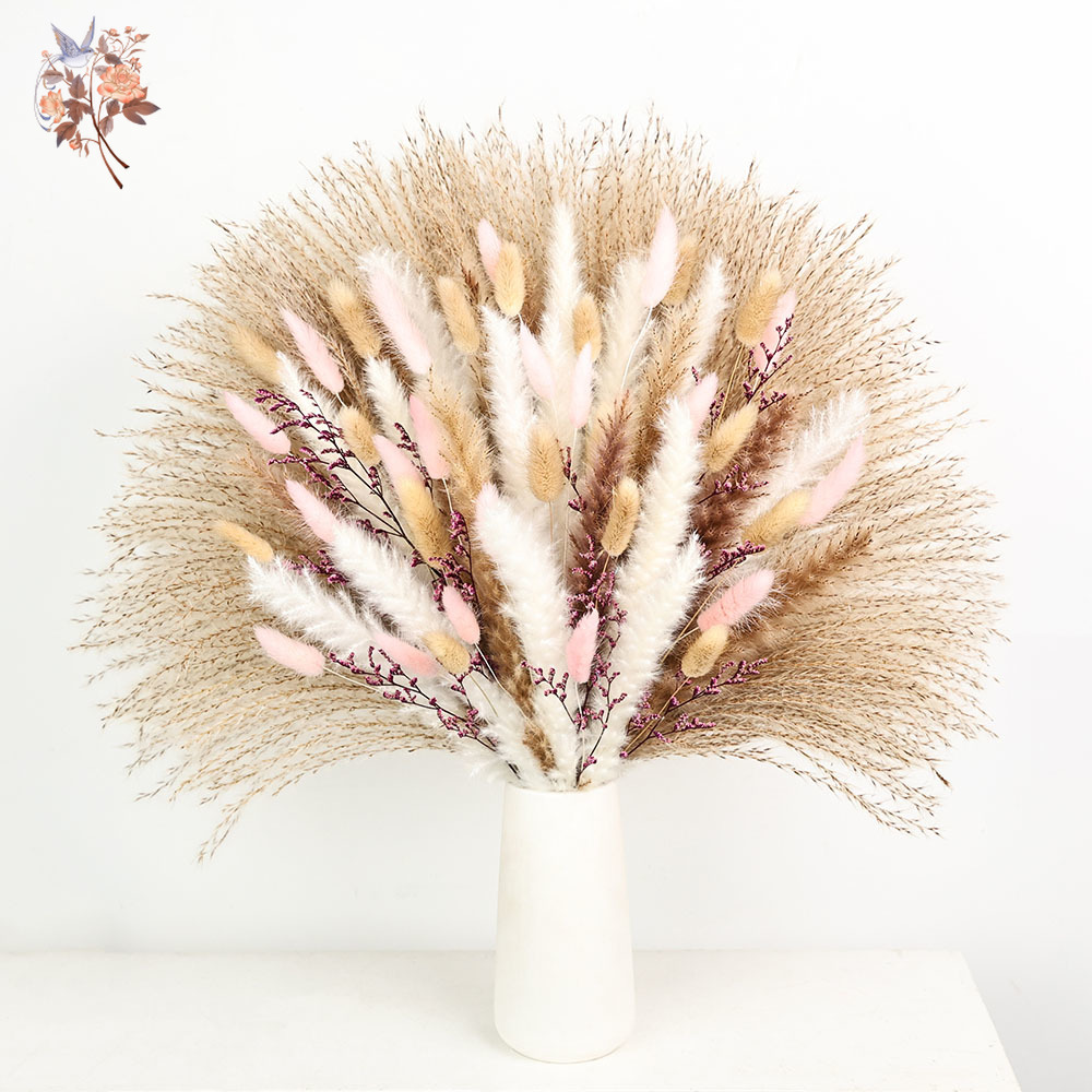 Dried Pampas Bundle - رقيق Pampas أرنب ذيول العشب الوردي