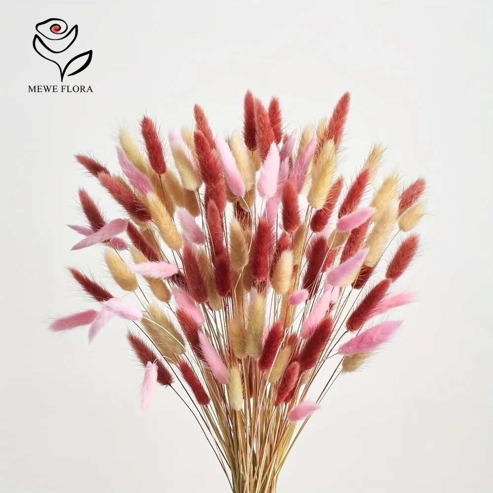 Dried Pampas Bundle - 90 قطعة مختلطة 3 ألوان الأرنب