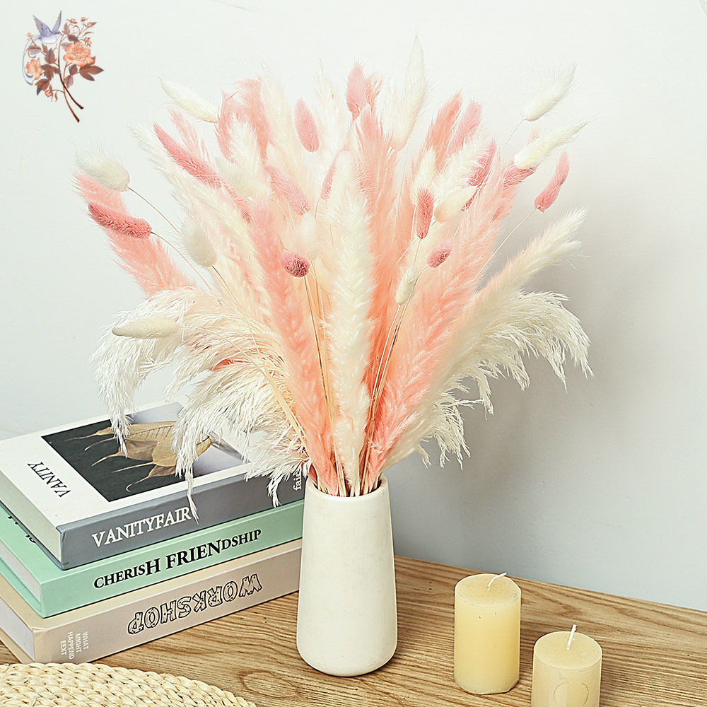 Dried Pampas Bundle - 62 قطعة القصب الأبيض الوردي أرنب