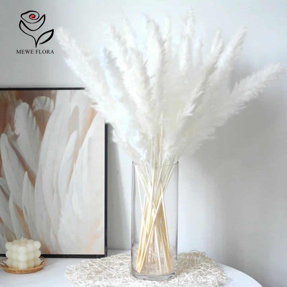 Dried Pampas Bundle - 20 قطعة من أعواد عشب البامباس