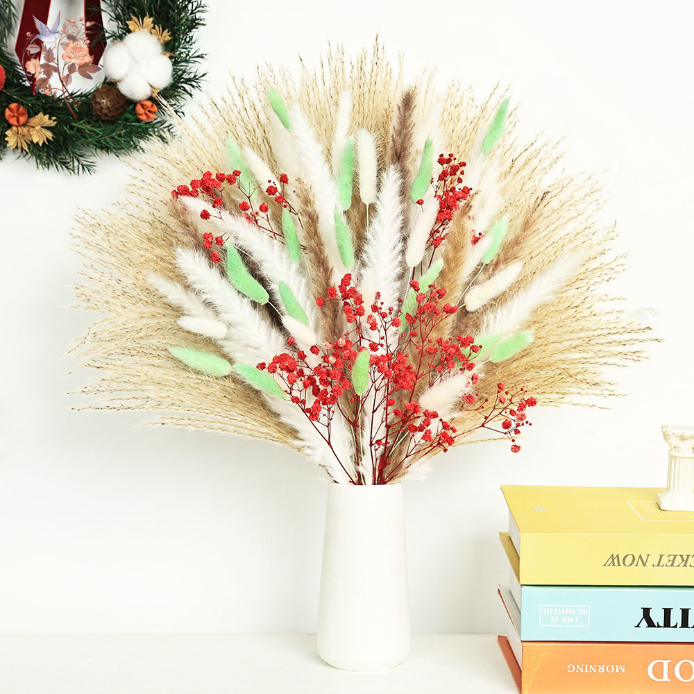 Dried Pampas Bundle - 70 سيقان رقيق أخضر أحمر بامباس