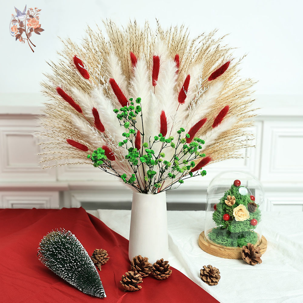 Dried Pampas Bundle - 55 قطعة باقة الزهور المجففة زينة