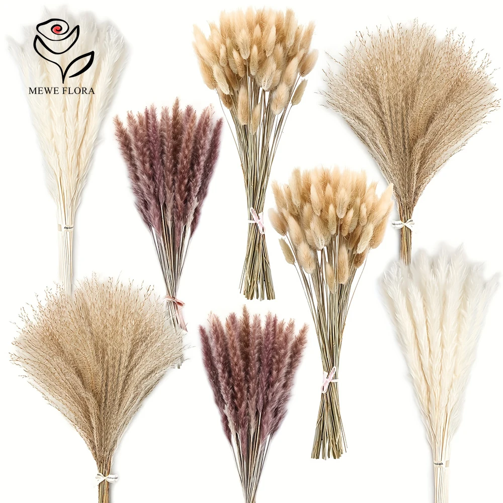 Dried Pampas Bundle - 200 قطعة بامباس المجففة ذيول الأرنب