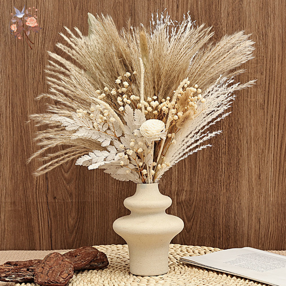 40 قطعة من قصب بامباس المجففة  - مراجعة Dried Pampas Bundle وسعره