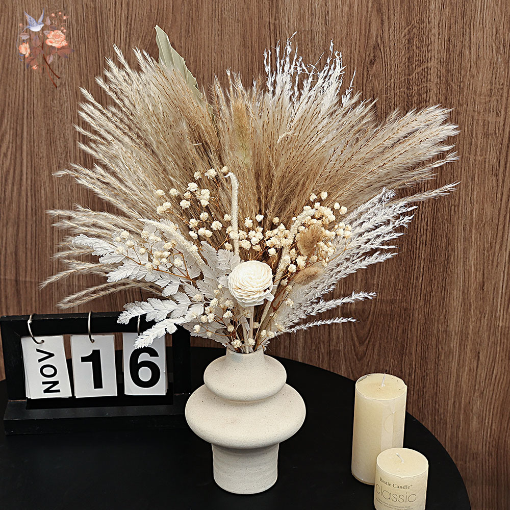 40 قطعة من قصب بامباس المجففة  - مراجعة Dried Pampas Bundle وسعره