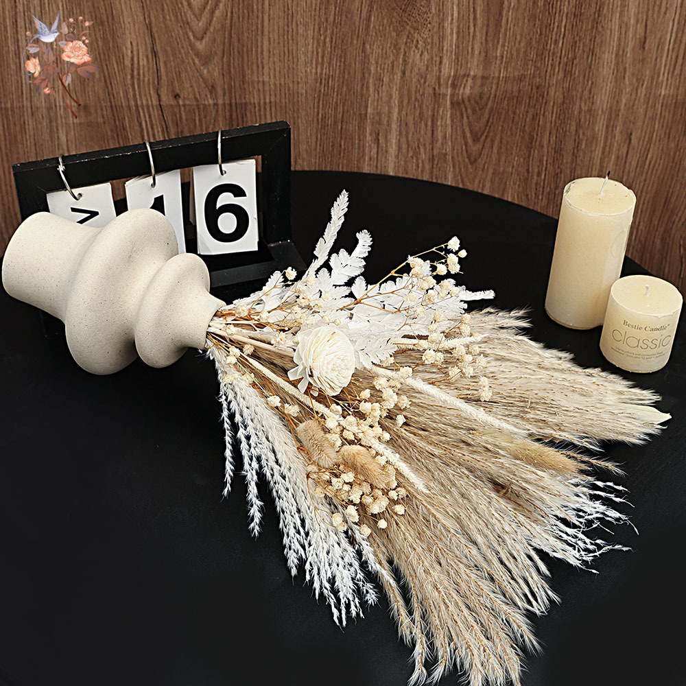 40 قطعة من قصب بامباس المجففة  - مراجعة Dried Pampas Bundle وسعره