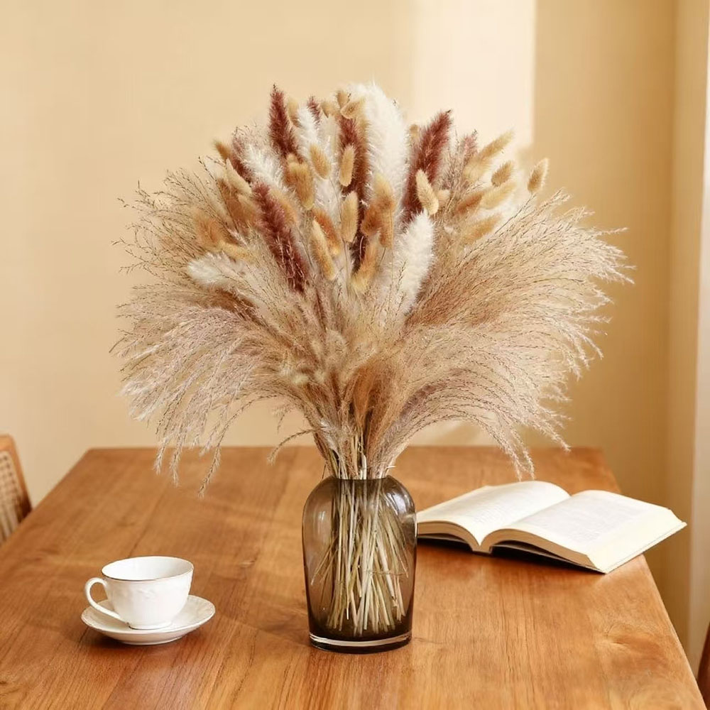 باقة زهور مجففة طبيعية مختلطة، - مراجعة Dried Pampas Bundle وسعره