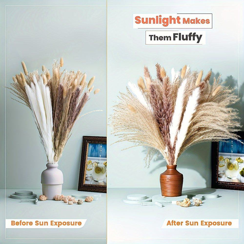 باقة زهور مجففة طبيعية مختلطة، - مراجعة Dried Pampas Bundle وسعره