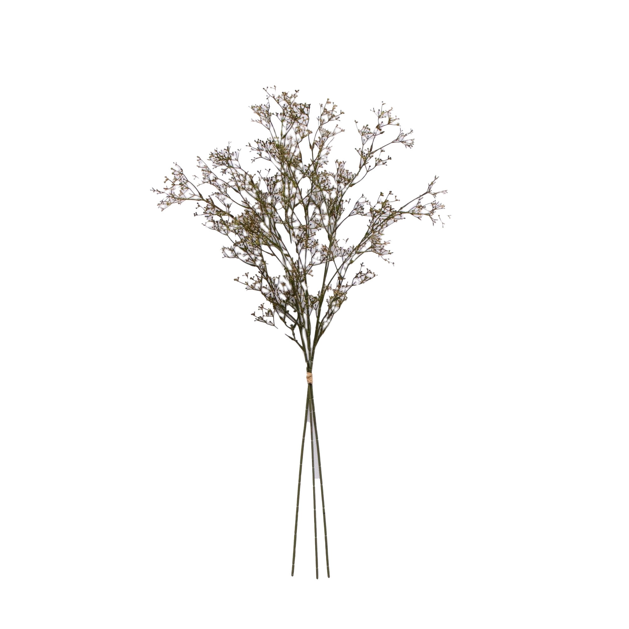 سيقان أرز اصطناعية مجففة لديكو - مراجعة Dried Pampas Bundle وسعره