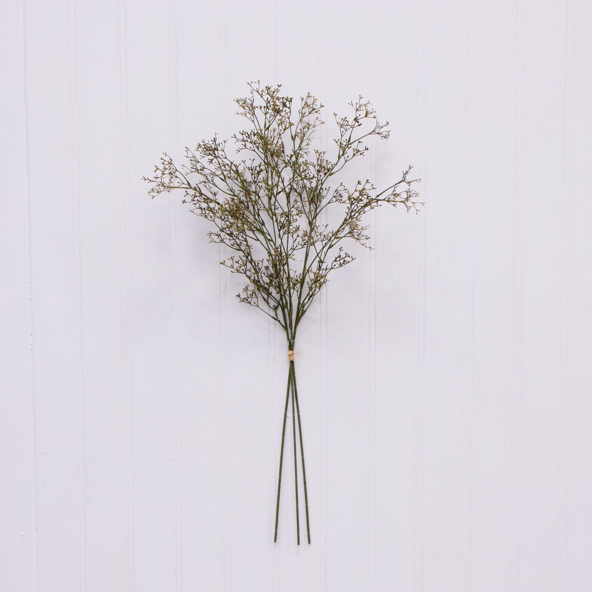 سيقان أرز اصطناعية مجففة لديكو - مراجعة Dried Pampas Bundle وسعره