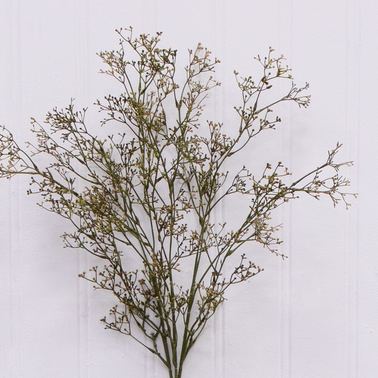 سيقان أرز اصطناعية مجففة لديكو - مراجعة Dried Pampas Bundle وسعره