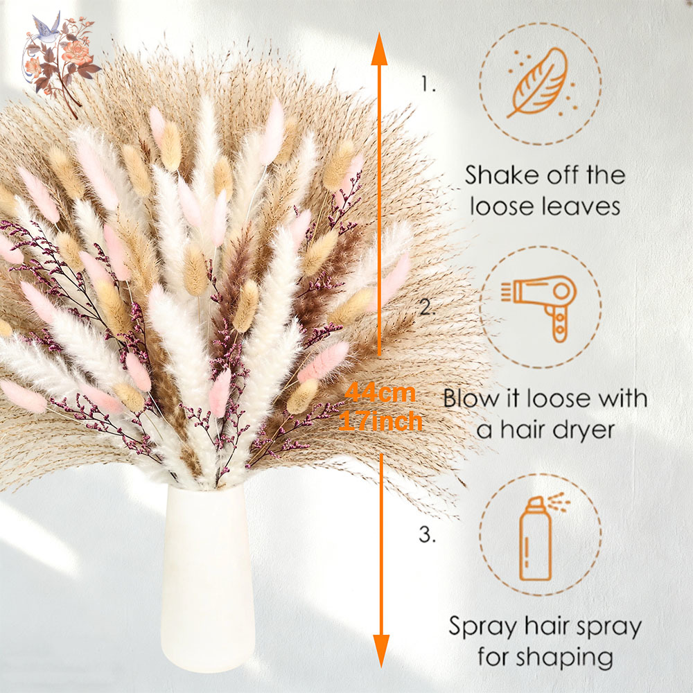 رقيق Pampas أرنب ذيول العشب ال - مراجعة Dried Pampas Bundle وسعره