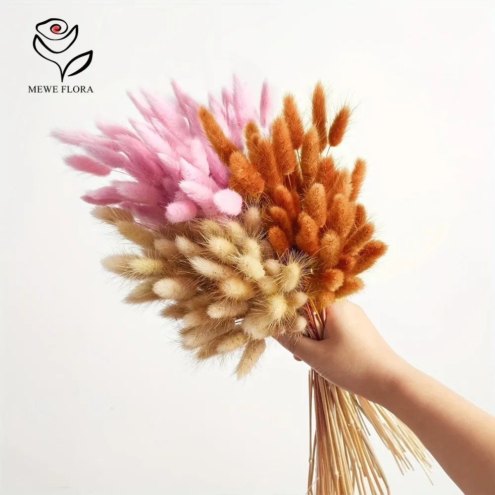 90 قطعة مختلطة 3 ألوان الأرنب  - مراجعة Dried Pampas Bundle وسعره