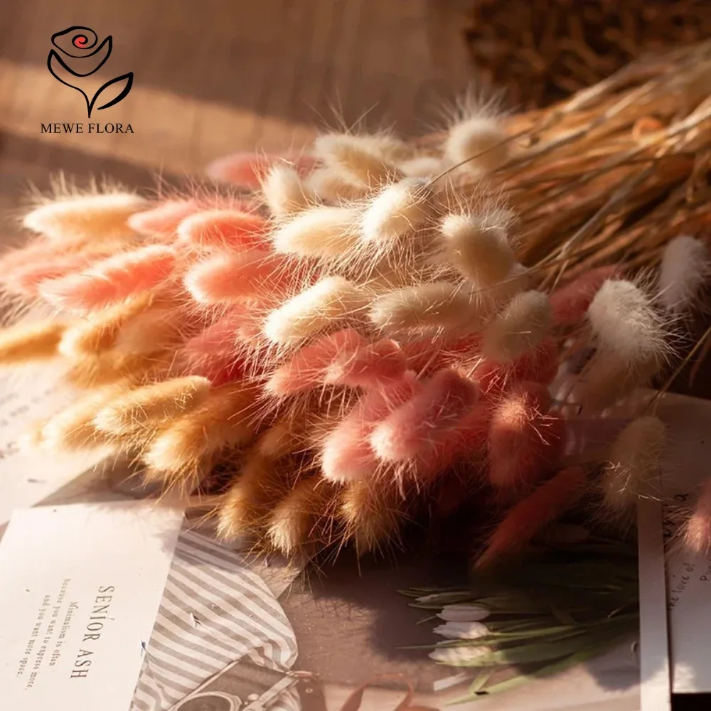 90 قطعة مختلطة 3 ألوان الأرنب  - مراجعة Dried Pampas Bundle وسعره