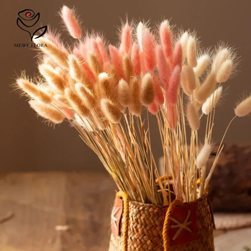 90 قطعة مختلطة 3 ألوان الأرنب  - مراجعة Dried Pampas Bundle وسعره