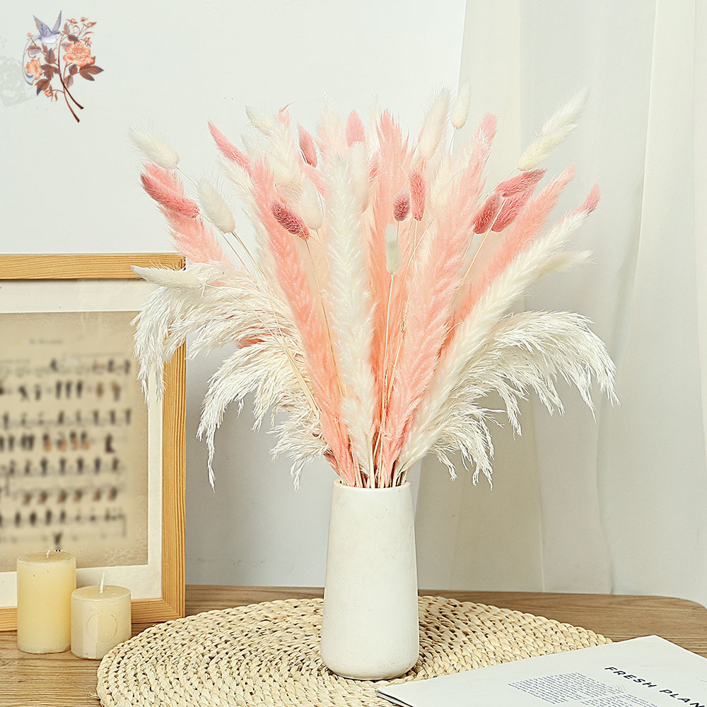 62 قطعة القصب الأبيض الوردي أر - مراجعة Dried Pampas Bundle وسعره