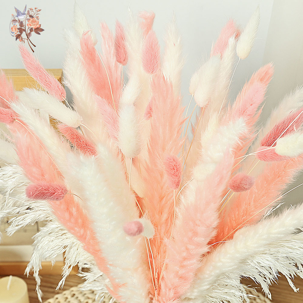 62 قطعة القصب الأبيض الوردي أر - مراجعة Dried Pampas Bundle وسعره