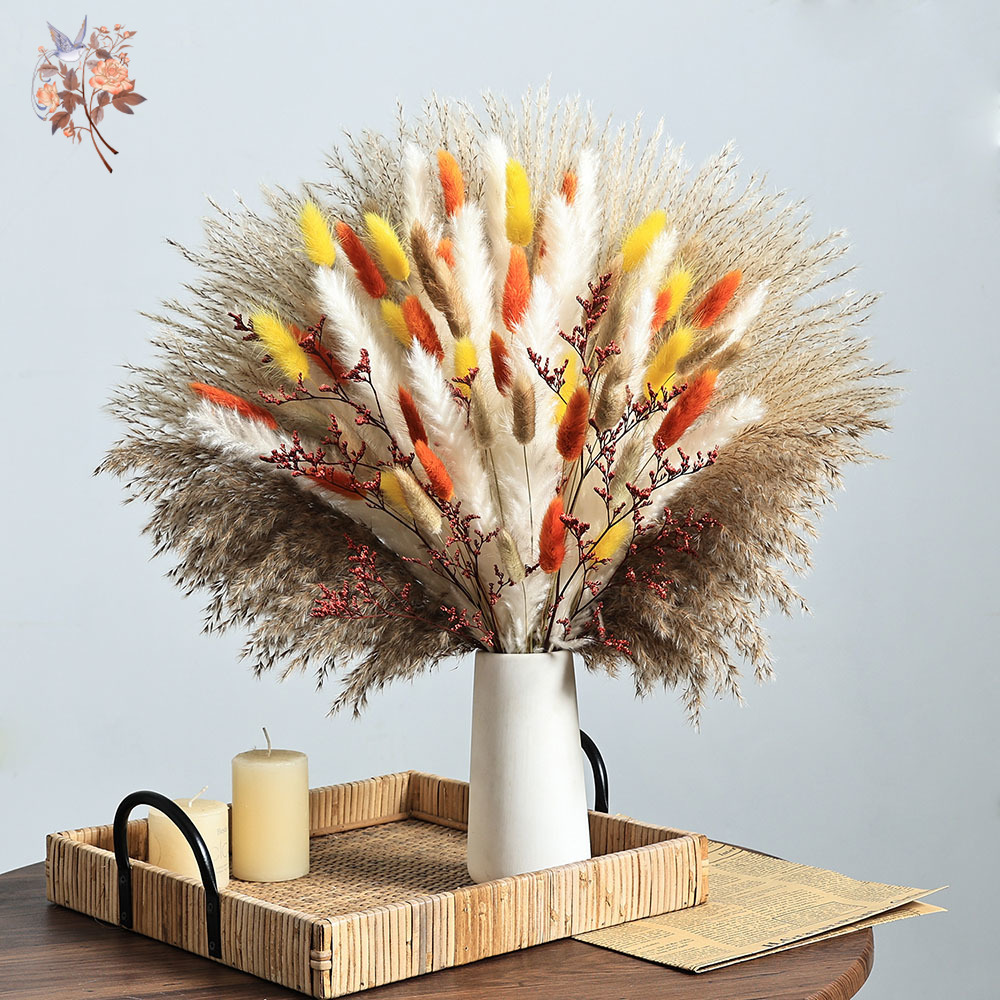 85 قطع الطبيعية رقيق الخريف با - مراجعة Dried Pampas Bundle وسعره