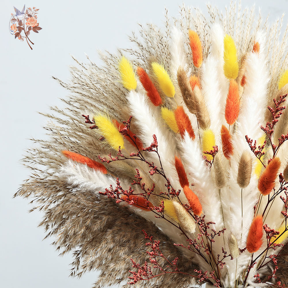 85 قطع الطبيعية رقيق الخريف با - مراجعة Dried Pampas Bundle وسعره
