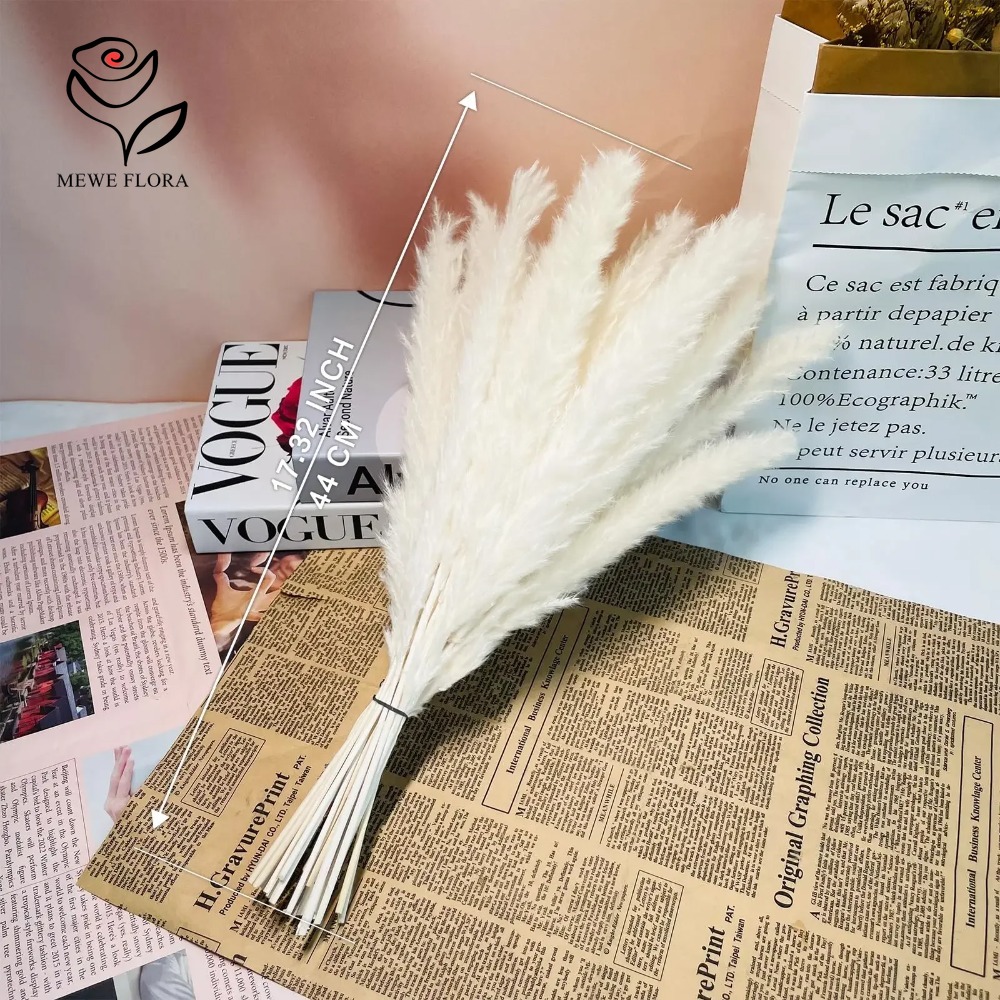 20 قطعة من أعواد عشب البامباس  - مراجعة Dried Pampas Bundle وسعره