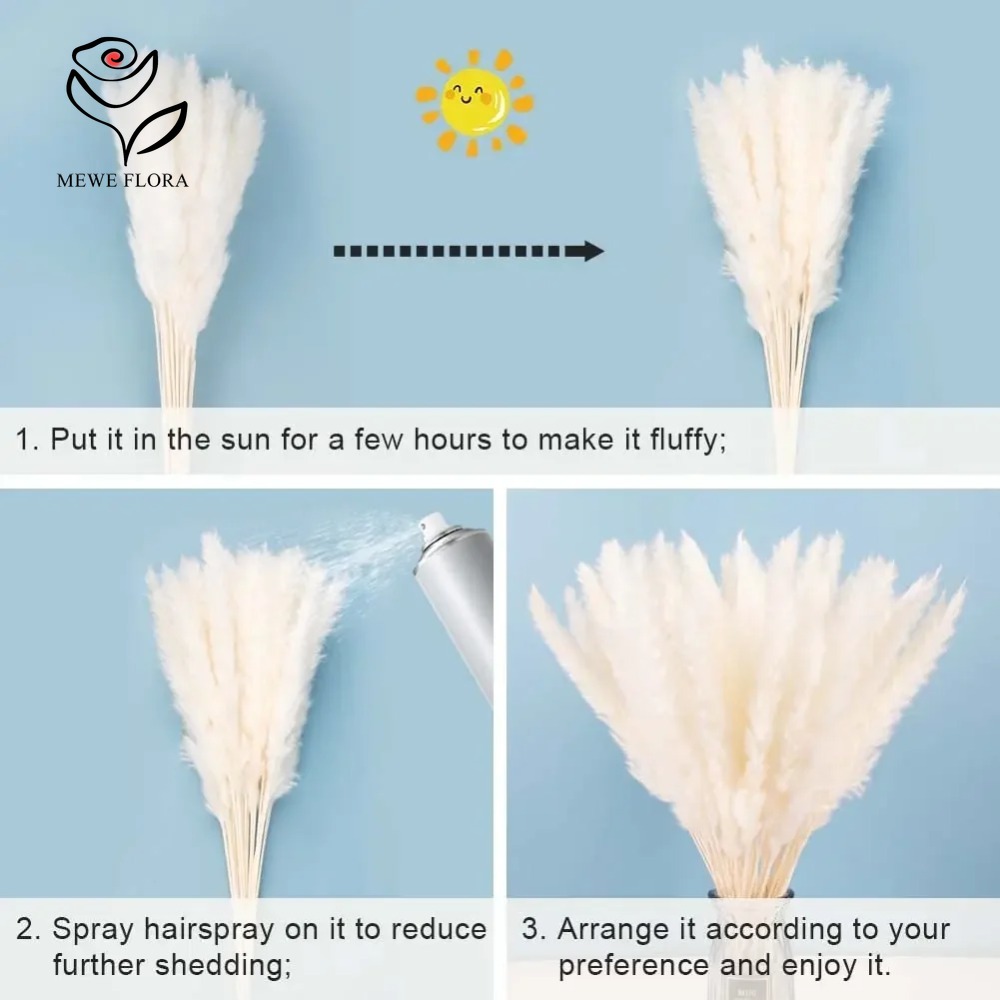 20 قطعة من أعواد عشب البامباس  - مراجعة Dried Pampas Bundle وسعره