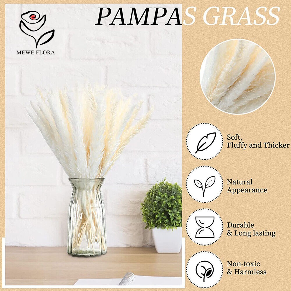 20 قطعة من أعواد عشب البامباس  - مراجعة Dried Pampas Bundle وسعره