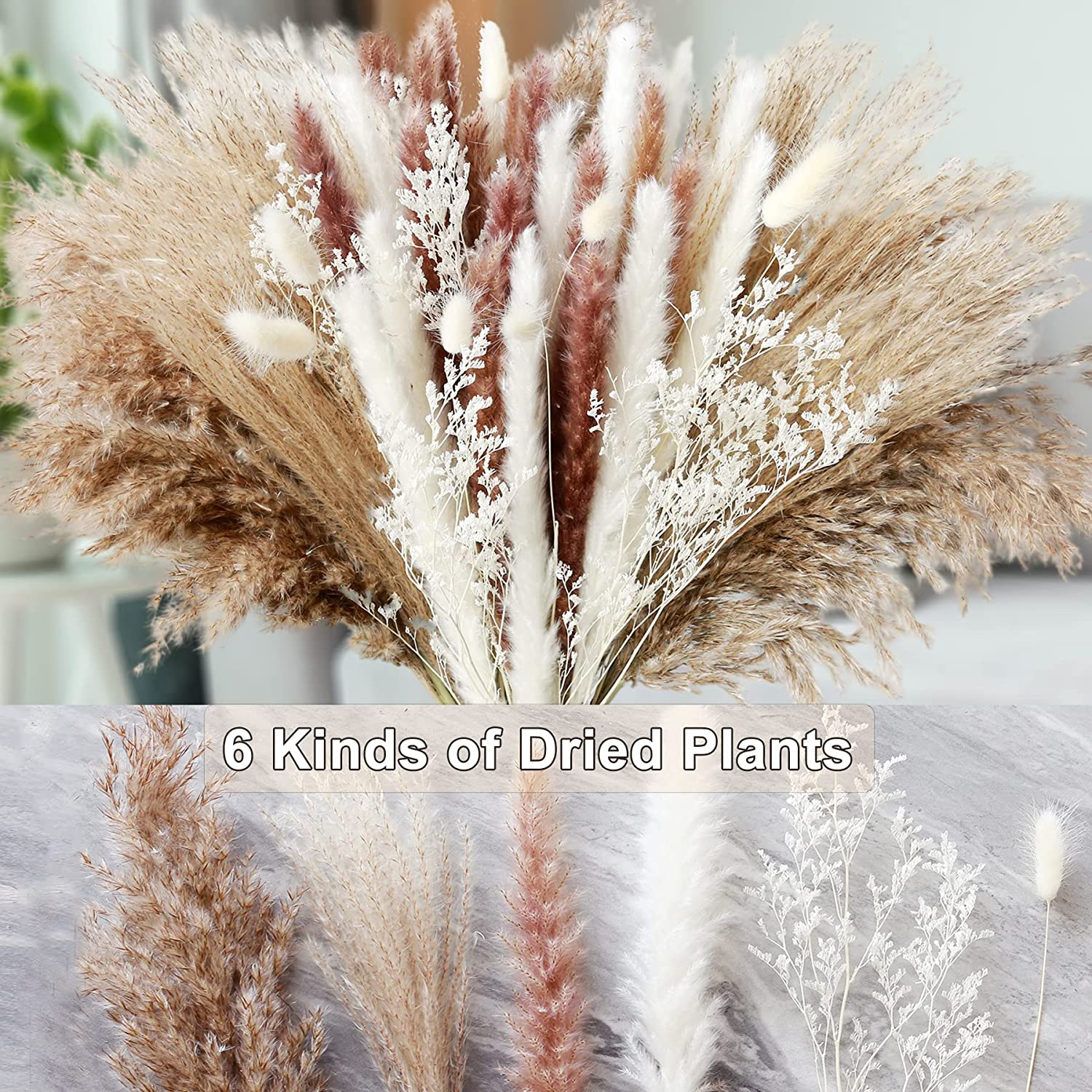 زهور مجففة طبيعية لتزيين طاولة - مراجعة Dried Pampas Bundle وسعره