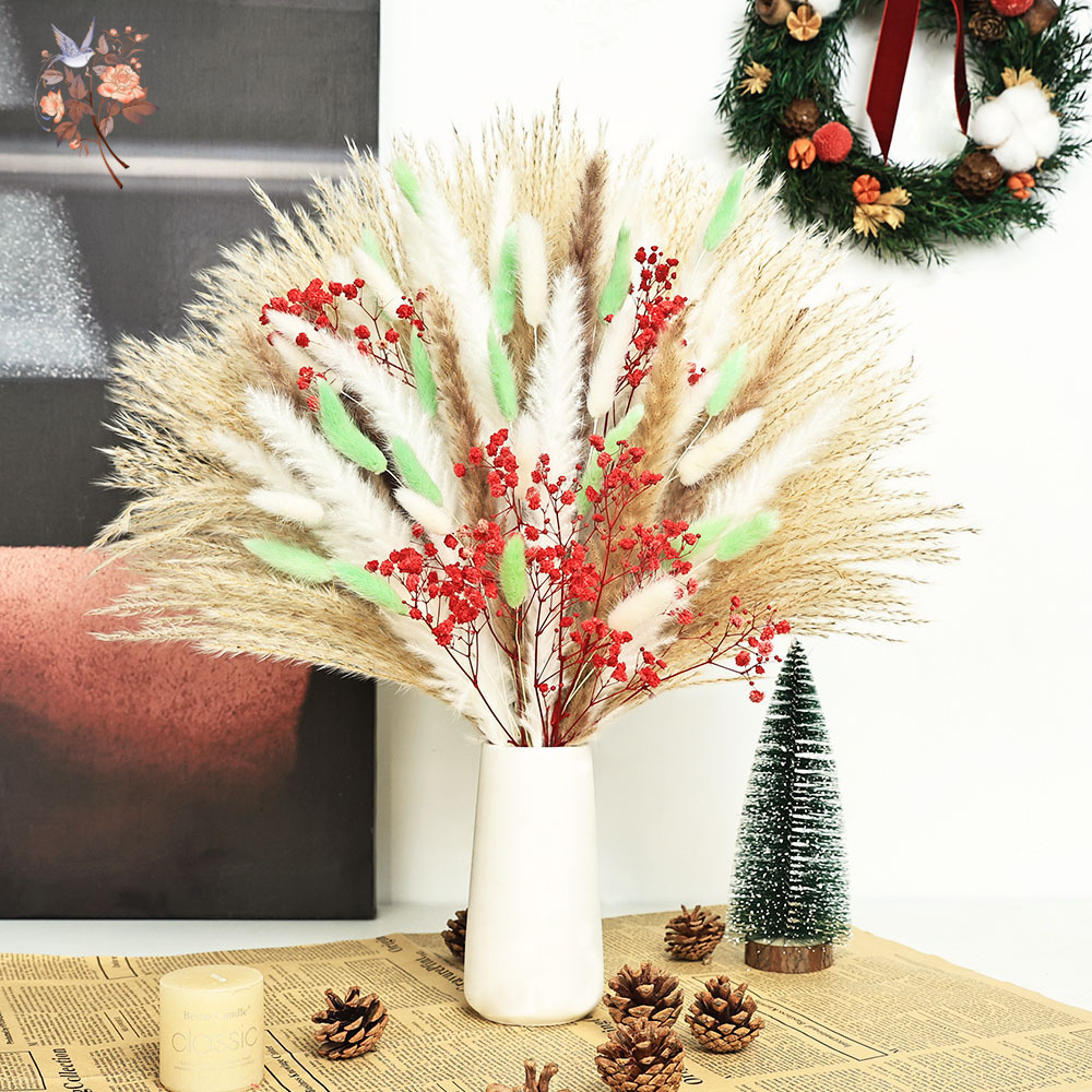 70 سيقان رقيق أخضر أحمر بامباس - مراجعة Dried Pampas Bundle وسعره