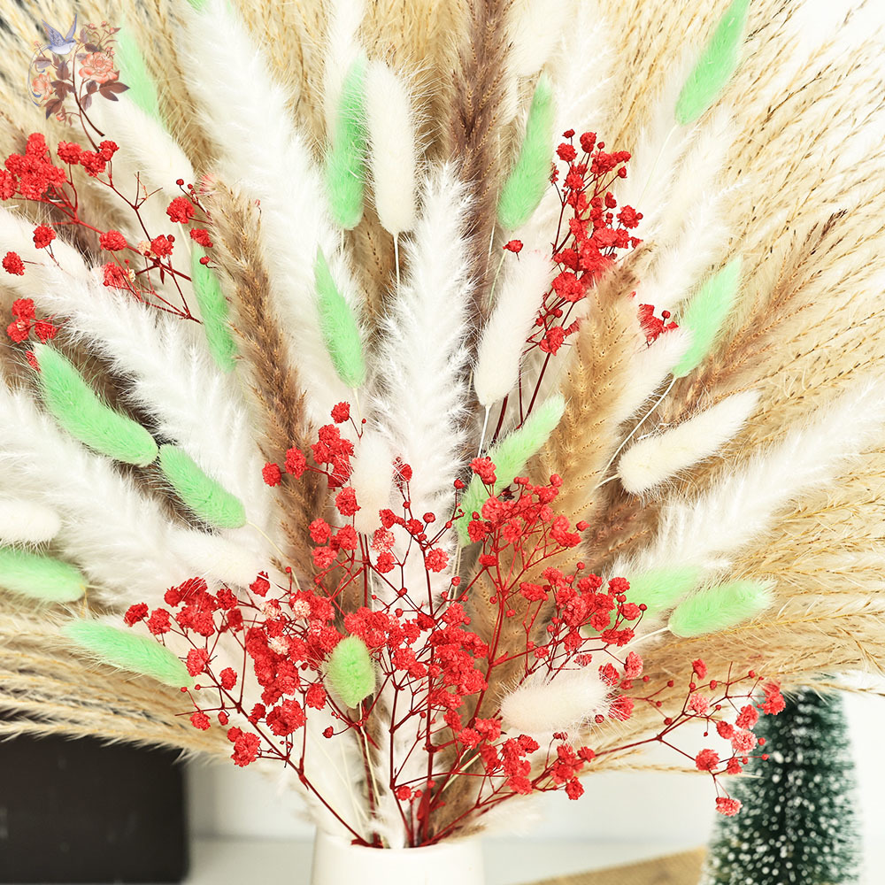 70 سيقان رقيق أخضر أحمر بامباس - مراجعة Dried Pampas Bundle وسعره