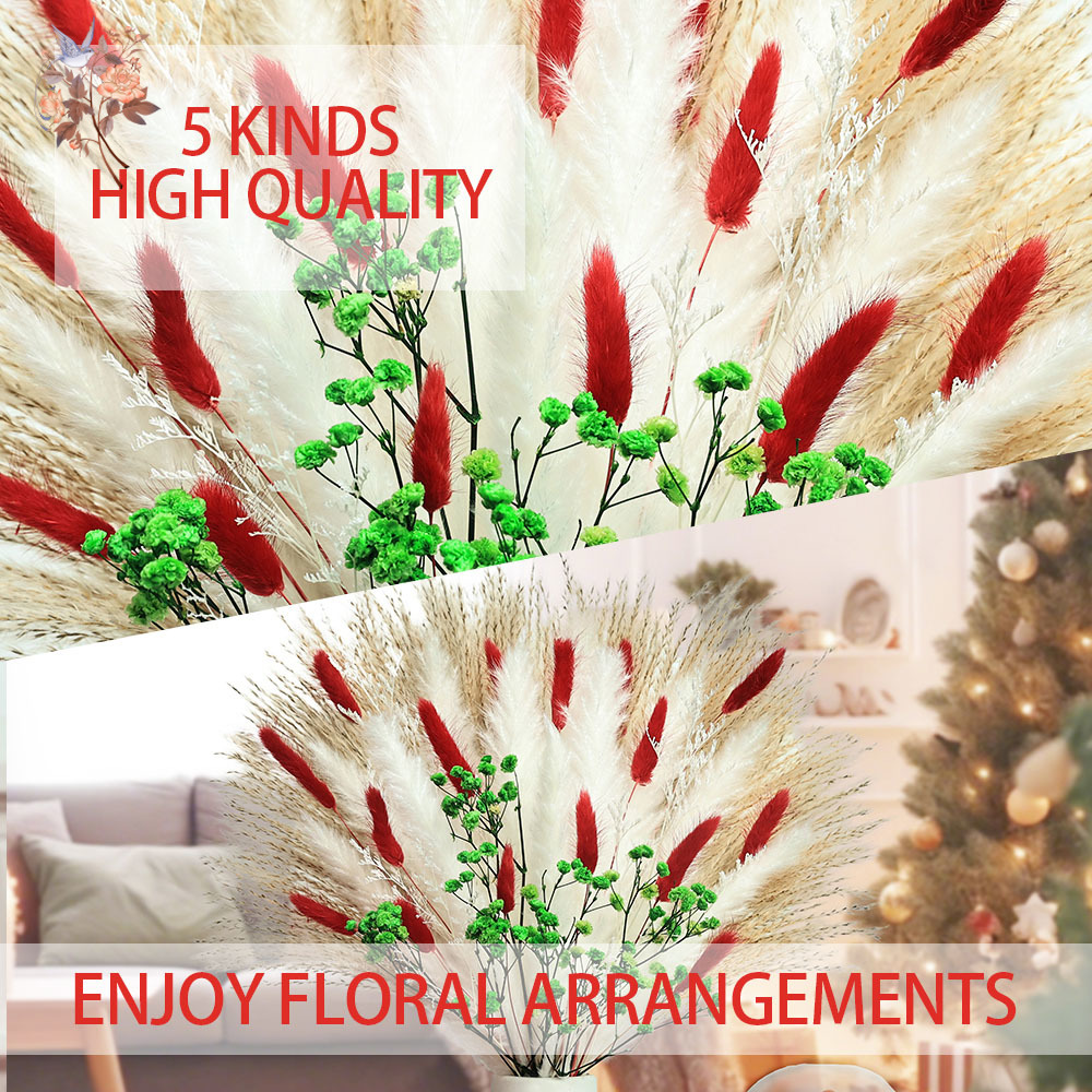 55 قطعة باقة الزهور المجففة زي - مراجعة Dried Pampas Bundle وسعره