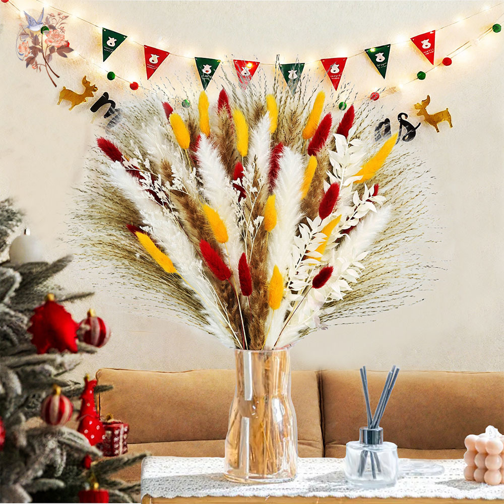 70 ينبع الطبيعية رقيق بامباس ا - مراجعة Dried Pampas Bundle وسعره