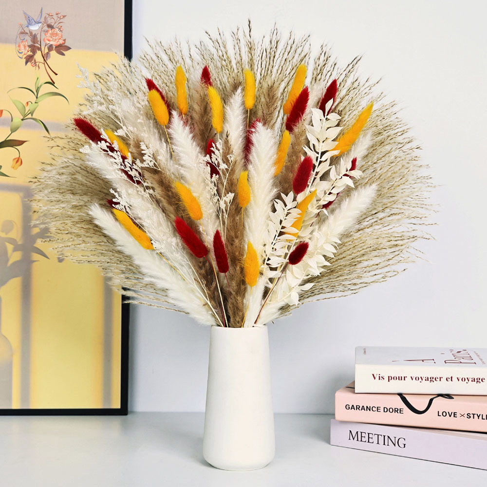 70 ينبع الطبيعية رقيق بامباس ا - مراجعة Dried Pampas Bundle وسعره