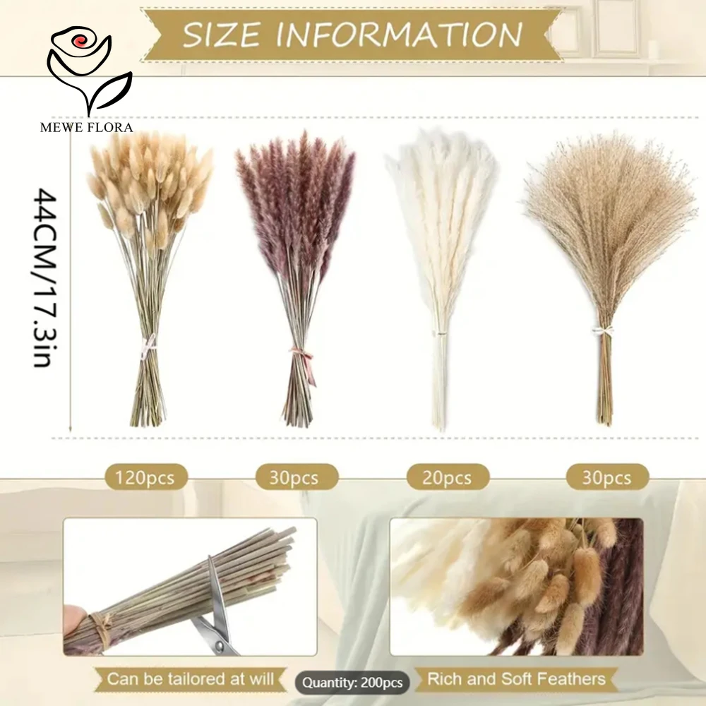 200 قطعة بامباس المجففة ذيول ا - مراجعة Dried Pampas Bundle وسعره